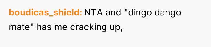 boudicas_shield NTA and "dingo dango mate" has me cracking up,