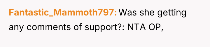 Fantastic_Mammoth797 Was she getting any comments of support?: NTA OP,