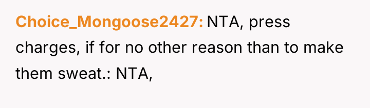 Choice_Mongoose2427 NTA, press charges, if for no other reason than...