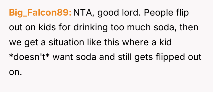 Big_Falcon89 NTA, good lord. People flip out on kids for...
