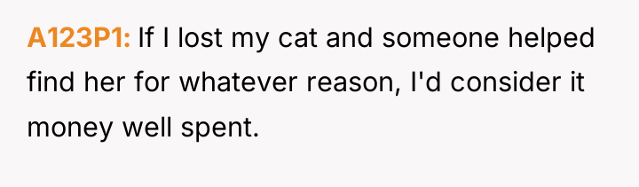A123P1 If I lost my cat and someone helped find...