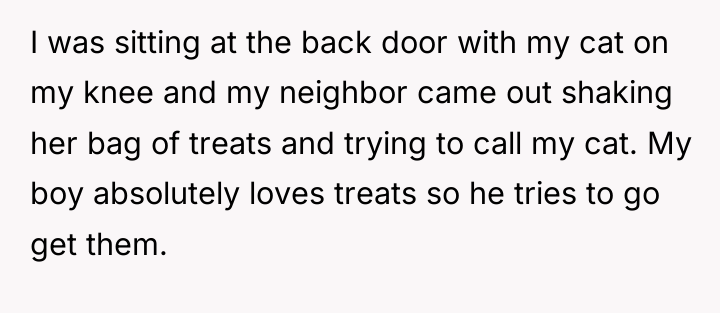 I was sitting at the back door with my cat...
