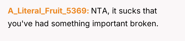 A_Literal_Fruit_5369 NTA, it sucks that you've had something important broken.