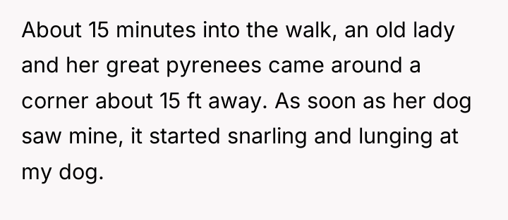 About 15 minutes into the walk, an old lady and...