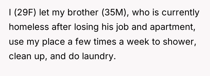 I (29F) let my brother (35M), who is currently homeless...
