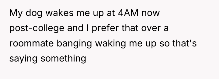 My dog wakes me up at 4AM now post-college and...