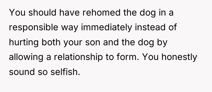 You should have rehomed the dog in a responsible way...