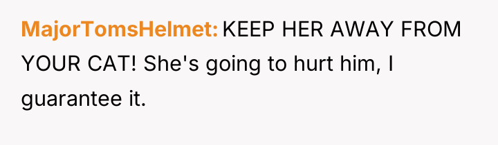 MajorTomsHelmet KEEP HER AWAY FROM YOUR CAT! She's going to...