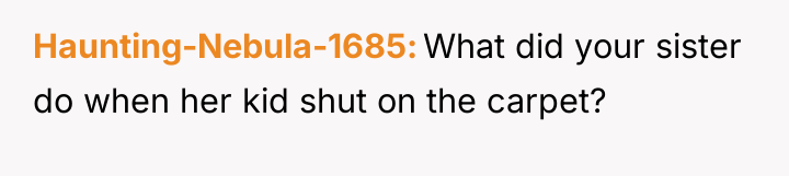 Haunting-Nebula-1685 What did your sister do when her kid shut...