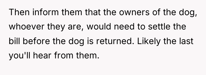 Then inform them that the owners of the dog, whoever...