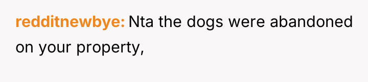redditnewbye Nta the dogs were abandoned on your property,