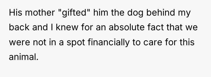 His mother "gifted" him the dog behind my back and...