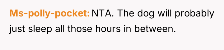 Ms-polly-pocket NTA. The dog will probably just sleep all those...