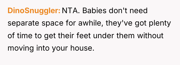 DinoSnuggler NTA. Babies don't need separate space for awhile, they've...