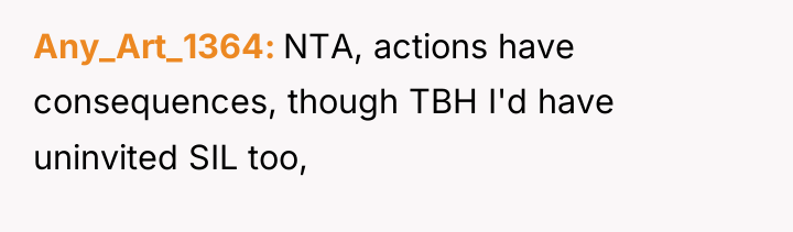 Any_Art_1364 NTA, actions have consequences, though TBH I'd have uninvited...