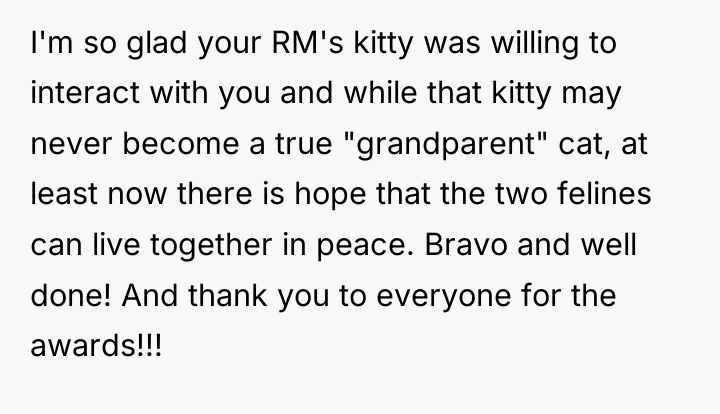I'm so glad your RM's kitty was willing to interact...