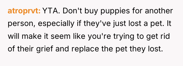 atroprvt YTA. Don't buy puppies for another person, especially if...