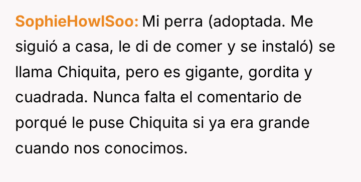 SophieHowlSoo Mi perra (adoptada. Me siguió a casa, le di...