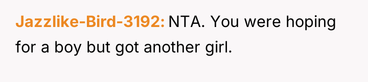 Jazzlike-Bird-3192 NTA. You were hoping for a boy but got...