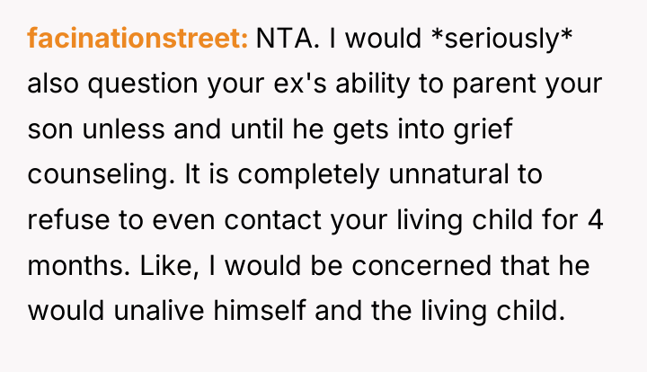 facinationstreet NTA. I would *seriously* also question your ex's ability...