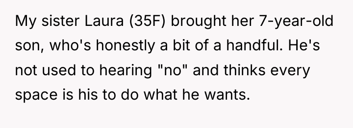 My sister Laura (35F) brought her 7-year-old son, who's honestly...