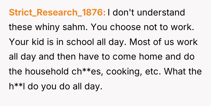 Strict_Research_1876 I don't understand these whiny sahm. You choose not...