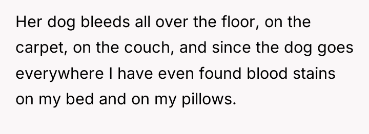 Her dog bleeds all over the floor, on the carpet,...