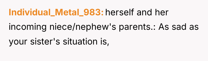 Individual_Metal_983 herself and her incoming niece/nephew's parents.: As sad as...