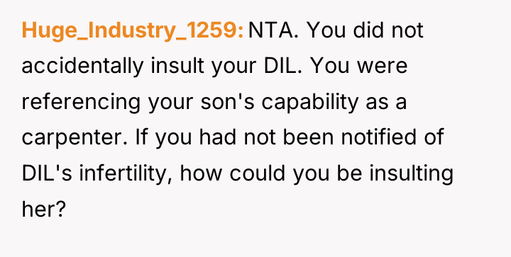 Huge_Industry_1259 NTA. You did not accidentally insult your DIL. You...