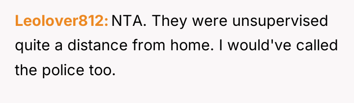 Leolover812 NTA. They were unsupervised quite a distance from home....
