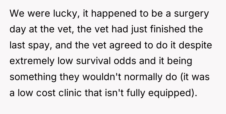 We were lucky, it happened to be a surgery day...