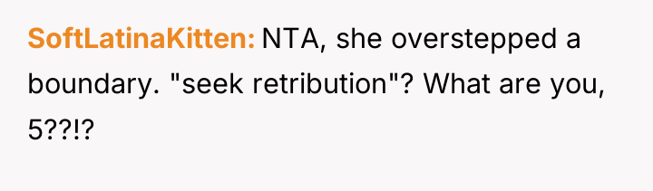 SoftLatinaKitten NTA, she overstepped a boundary. "seek retribution"? What are...