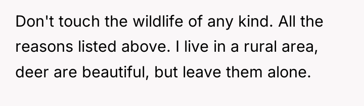 Don't touch the wildlife of any kind. All the reasons...