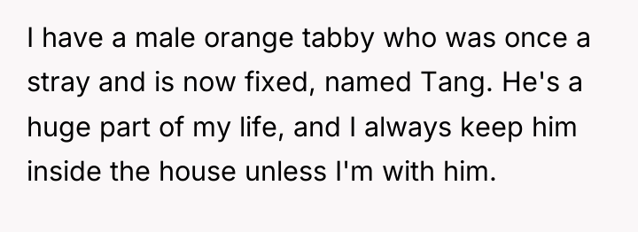 I have a male orange tabby who was once a...