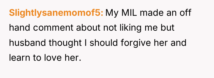 Slightlysanemomof5 My MIL made an off hand comment about not...
