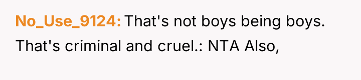 No_Use_9124 That's not boys being boys. That's criminal and cruel.:...