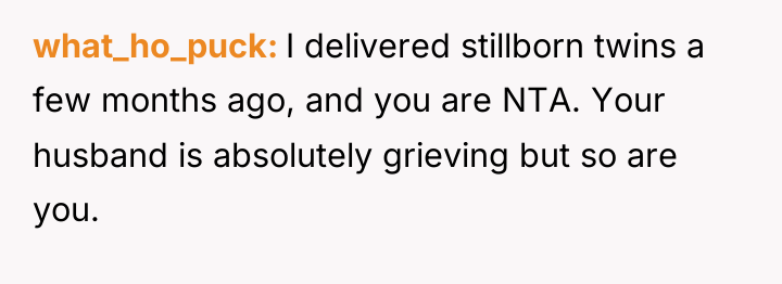 what_ho_puck I delivered stillborn twins a few months ago, and...