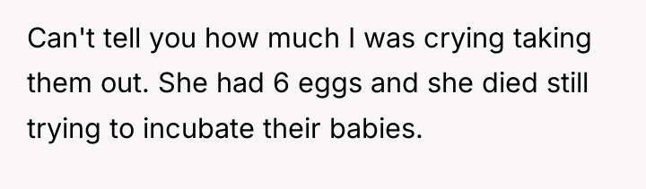 Can't tell you how much I was crying taking them...