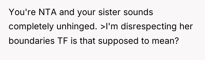 You're NTA and your sister sounds completely unhinged. >I'm disrespecting...