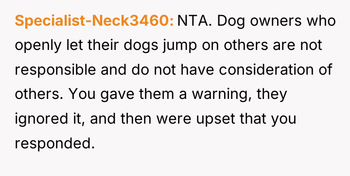 Specialist-Neck3460 NTA. Dog owners who openly let their dogs jump...