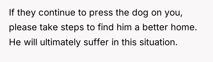 If they continue to press the dog on you, please...