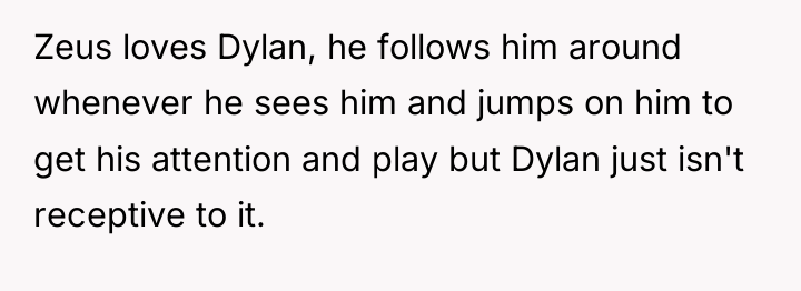 Zeus loves Dylan, he follows him around whenever he sees...