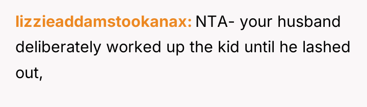 lizzieaddamstookanax NTA- your husband deliberately worked up the kid until...