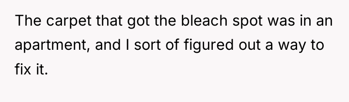 The carpet that got the bleach spot was in an...