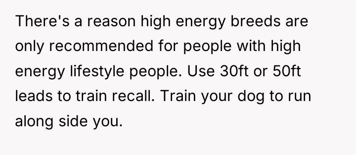There's a reason high energy breeds are only recommended for...