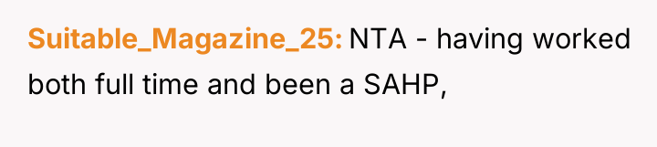 Suitable_Magazine_25 NTA - having worked both full time and been...