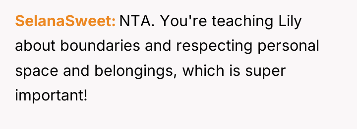 SelanaSweet NTA. You're teaching Lily about boundaries and respecting personal...
