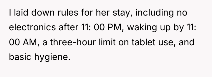I laid down rules for her stay, including no electronics...