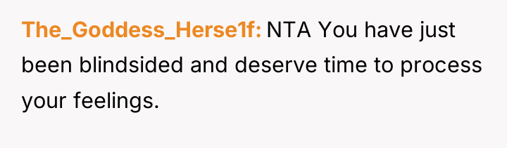 The_Goddess_Herse1f NTA You have just been blindsided and deserve time...