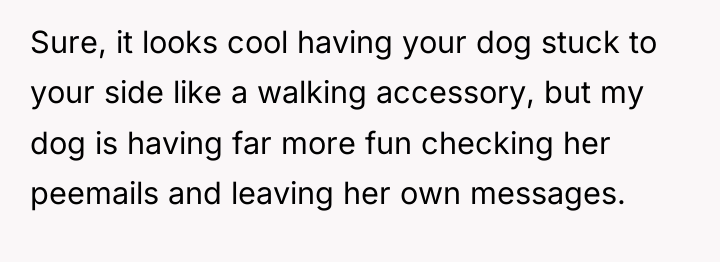 Sure, it looks cool having your dog stuck to your...
